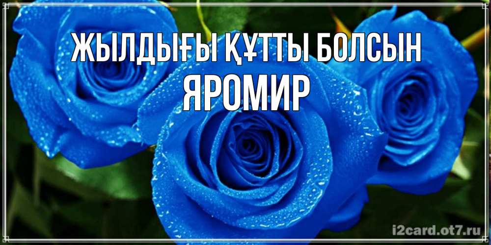 Күн сайын ашық хат с именем, Яромир Жылдығы құтты болсын розы с синим цветом Онлайн тегін жүктеп алу тілектері бар керемет карта 