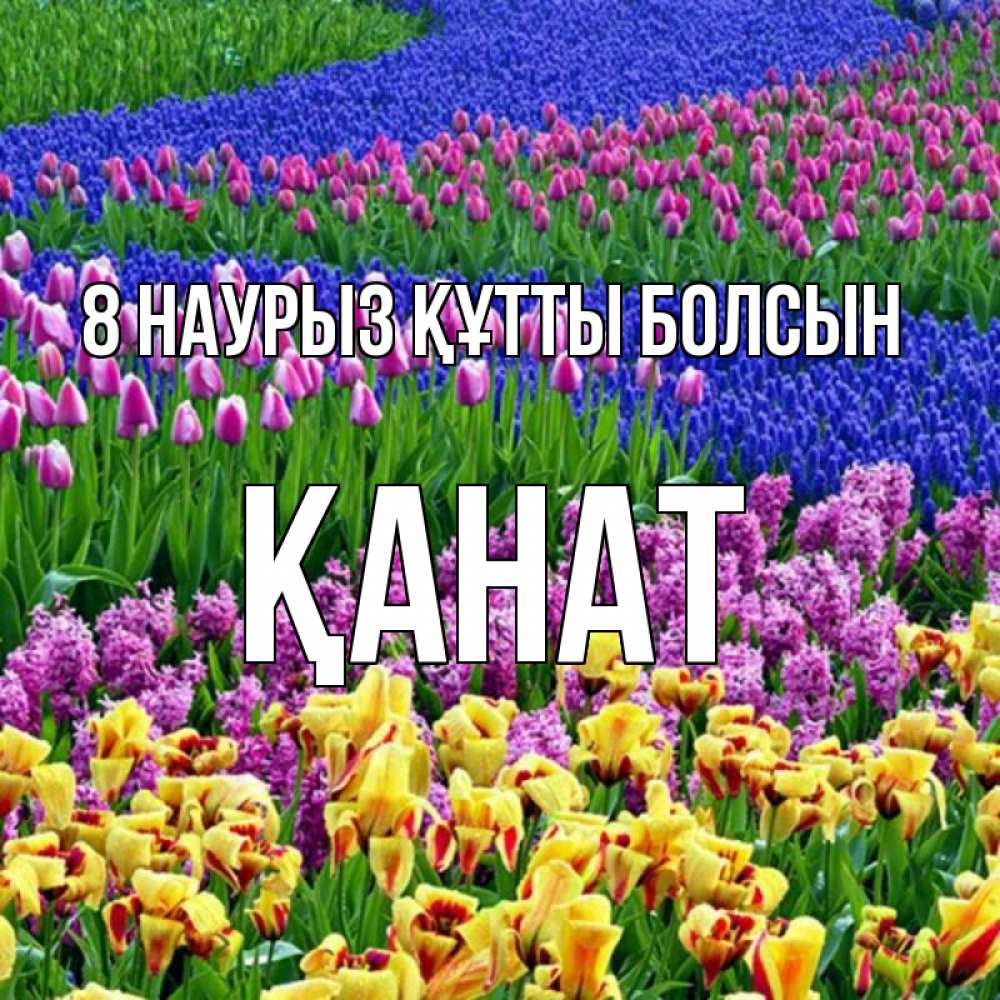 Күн сайын ашық хат с именем, Қанат 8 наурыз құтты болсын цветы Онлайн тегін жүктеп алу тілектері бар керемет карта 