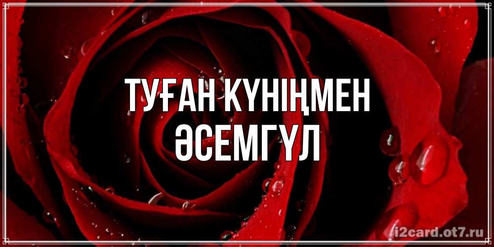 Күн сайын ашық хат с именем, ӘСЕМГҮЛ Туған күніңмен крупная бордовая роза Онлайн тегін жүктеп алу тілектері бар керемет карта 