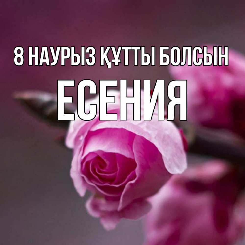 Күн сайын ашық хат с именем, Есения 8 наурыз құтты болсын весна Онлайн тегін жүктеп алу тілектері бар керемет карта 