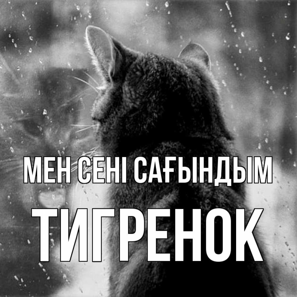 Күн сайын ашық хат с именем, Тигренок Мен сені сағындым скорее ко мне приходи 1 Онлайн тегін жүктеп алу тілектері бар керемет карта 
