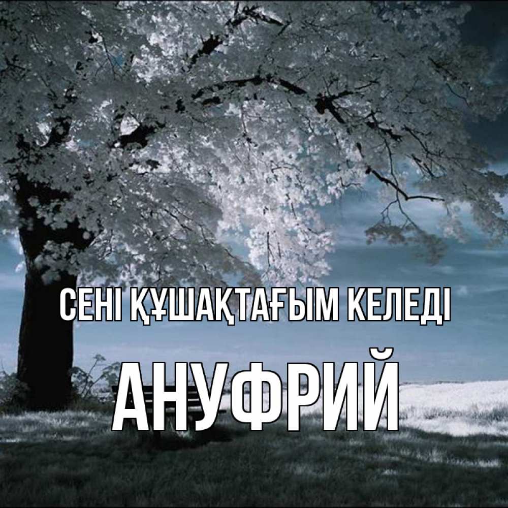 Күн сайын ашық хат с именем, Ануфрий сені құшақтағым келеді дерево Онлайн тегін жүктеп алу тілектері бар керемет карта 