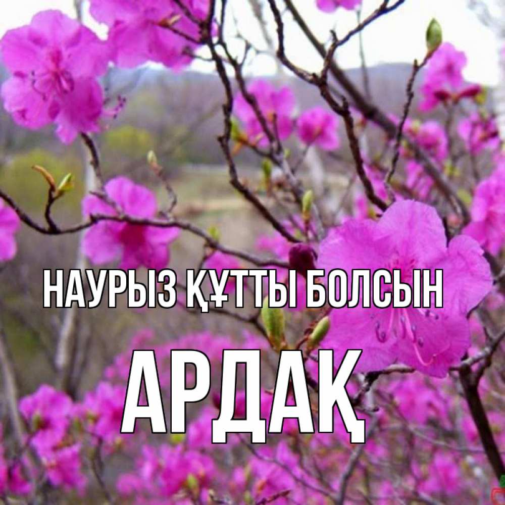 Күн сайын ашық хат с именем, Ардақ Наурыз құтты болсын наурыз мейрамы кутты болсын Онлайн тегін жүктеп алу тілектері бар керемет карта 
