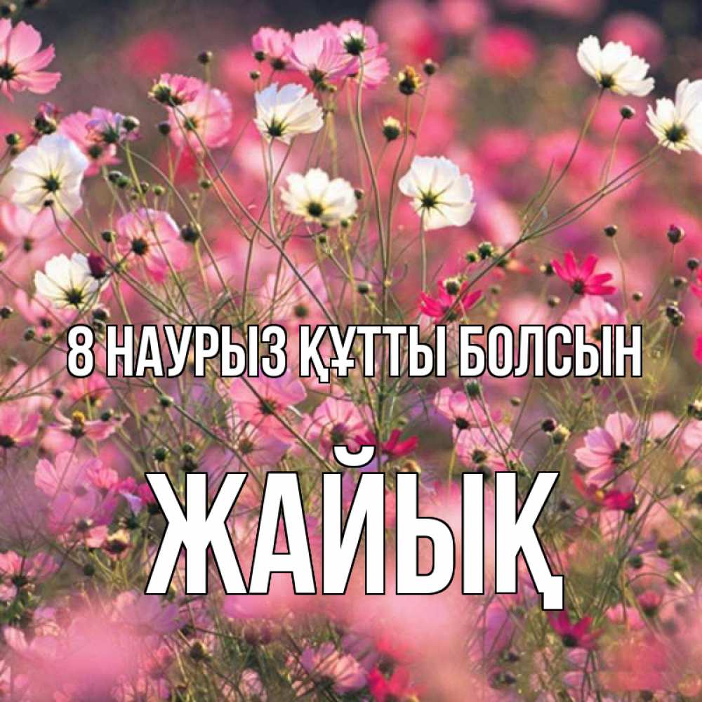 Күн сайын ашық хат с именем, Жайық 8 наурыз құтты болсын красиво 1 Онлайн тегін жүктеп алу тілектері бар керемет карта 