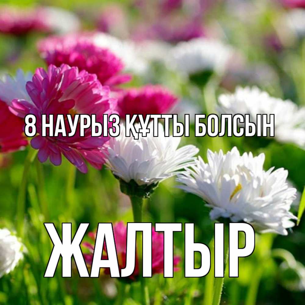 Күн сайын ашық хат с именем, Жалтыр 8 наурыз құтты болсын международный женский день 1 Онлайн тегін жүктеп алу тілектері бар керемет карта 