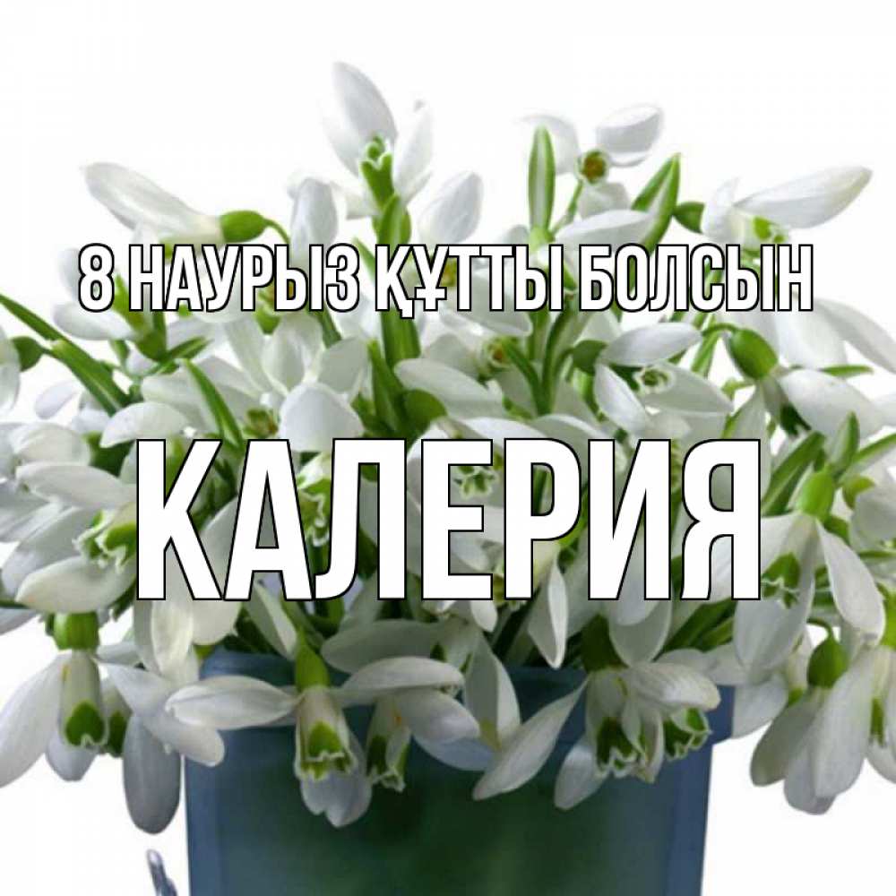 Күн сайын ашық хат с именем, Калерия 8 наурыз құтты болсын цветы к международному женскому дню Онлайн тегін жүктеп алу тілектері бар керемет карта 