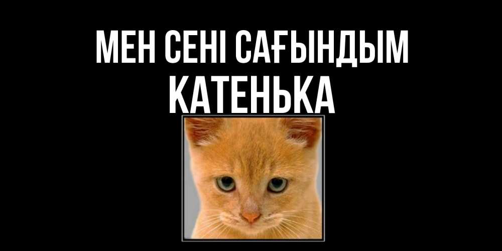 Күн сайын ашық хат с именем, Катенька Мен сені сағындым открытки рыжий котенок скучает по тебе Онлайн тегін жүктеп алу тілектері бар керемет карта 