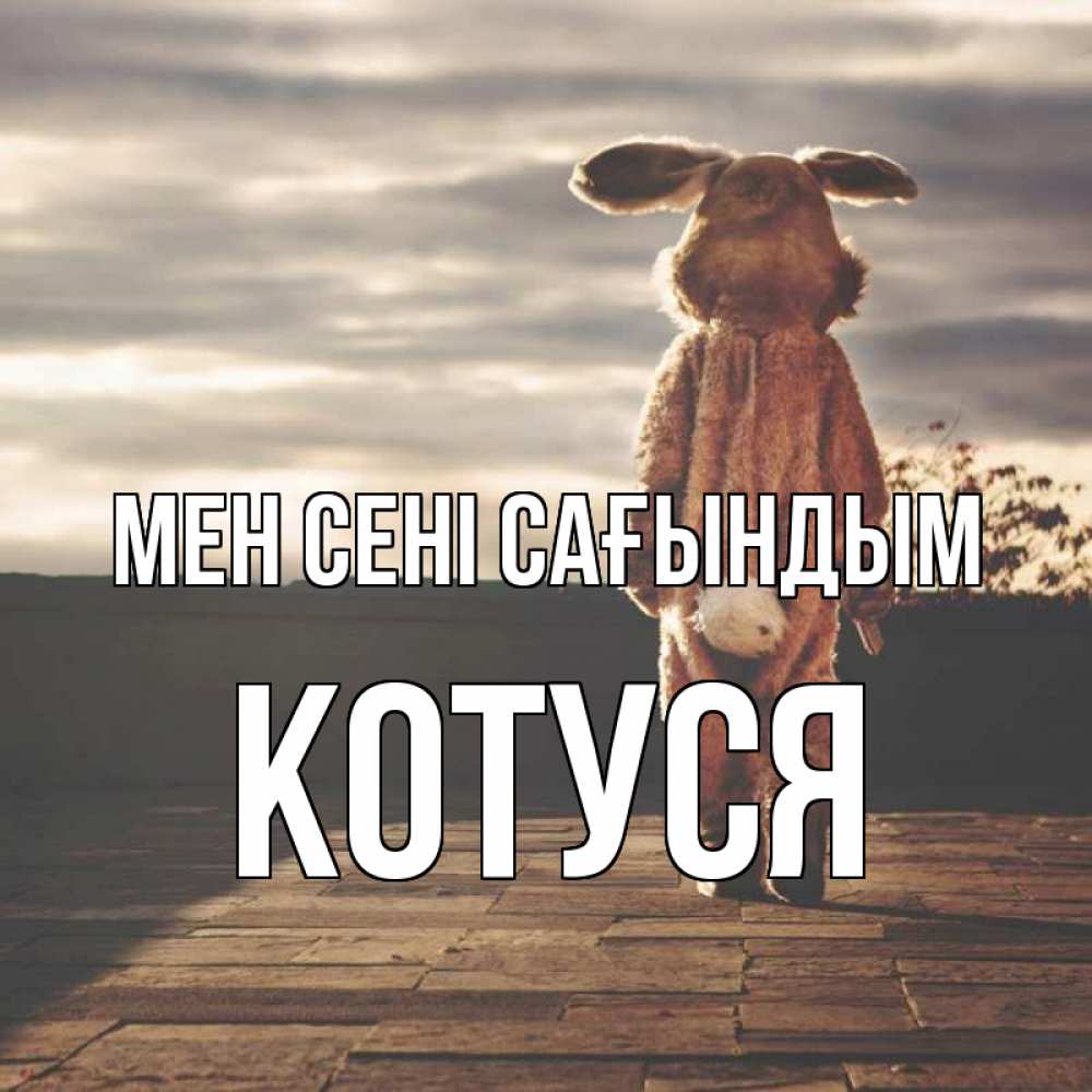 Күн сайын ашық хат с именем, Котуся Мен сені сағындым даже в костюме зайца Онлайн тегін жүктеп алу тілектері бар керемет карта 