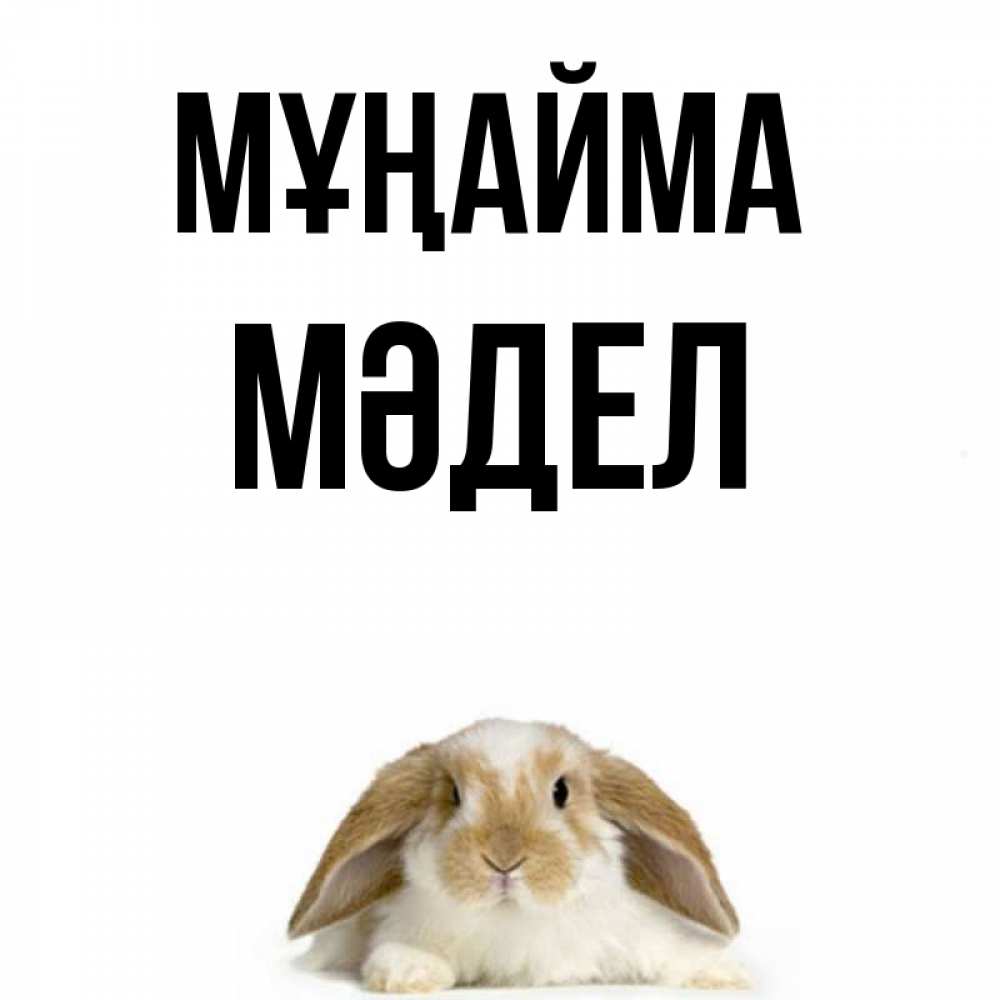 Күн сайын ашық хат с именем, МӘДЕЛ Мұңайма коричнево белый заяц с большими ушками Онлайн тегін жүктеп алу тілектері бар керемет карта 