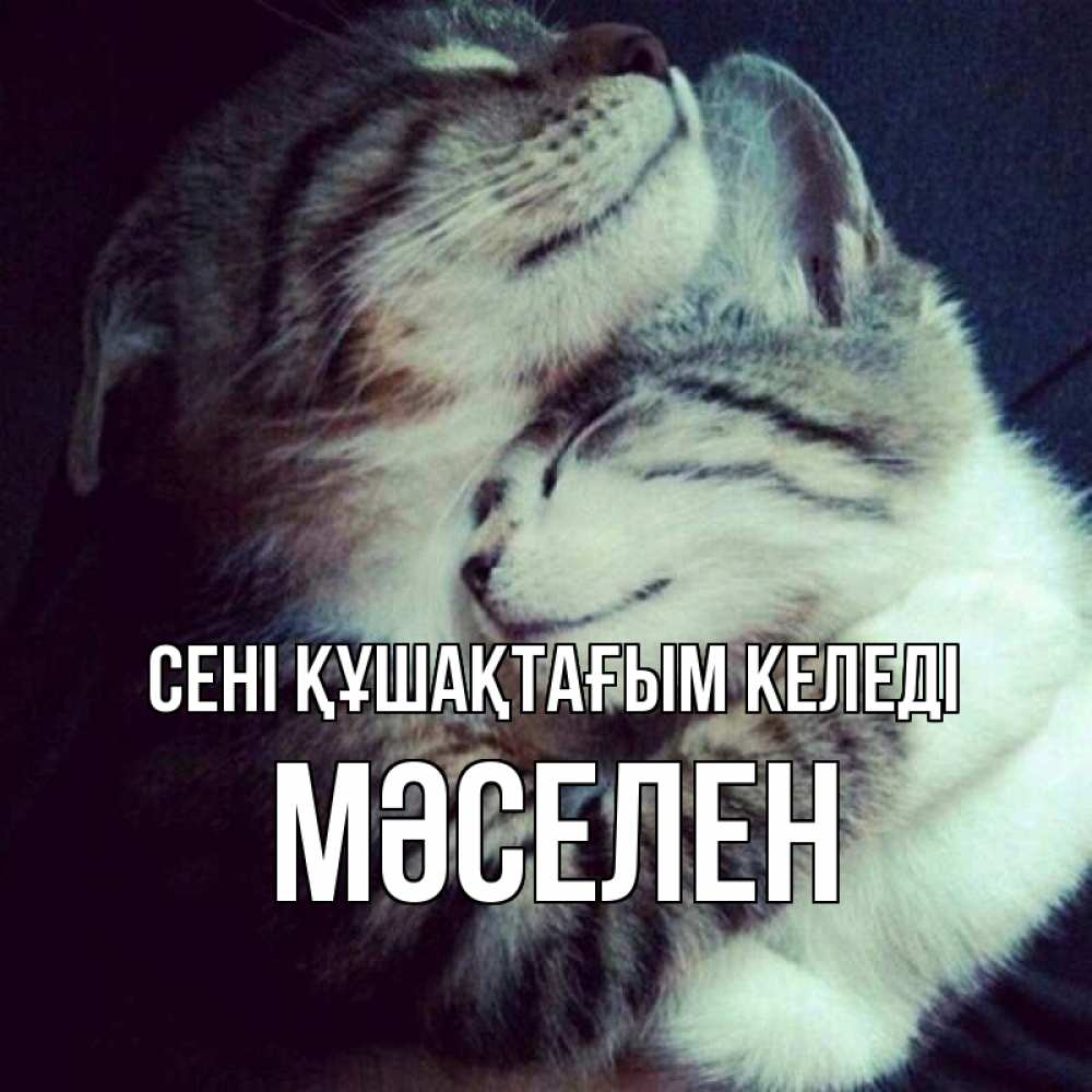 Күн сайын ашық хат с именем, Мәселен сені құшақтағым келеді полосатики Онлайн тегін жүктеп алу тілектері бар керемет карта 