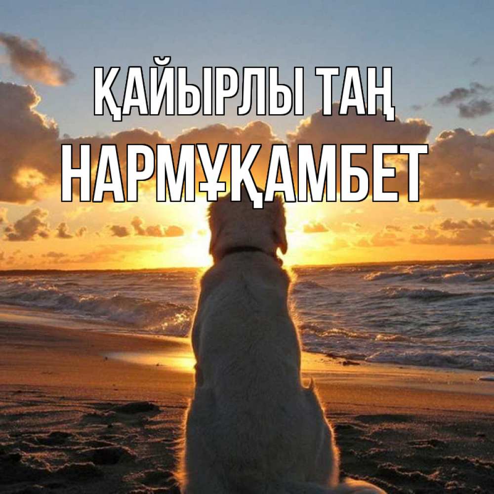 Күн сайын ашық хат с именем, НАРМҰҚАМБЕТ Қайырлы таң восход солнца Онлайн тегін жүктеп алу тілектері бар керемет карта 