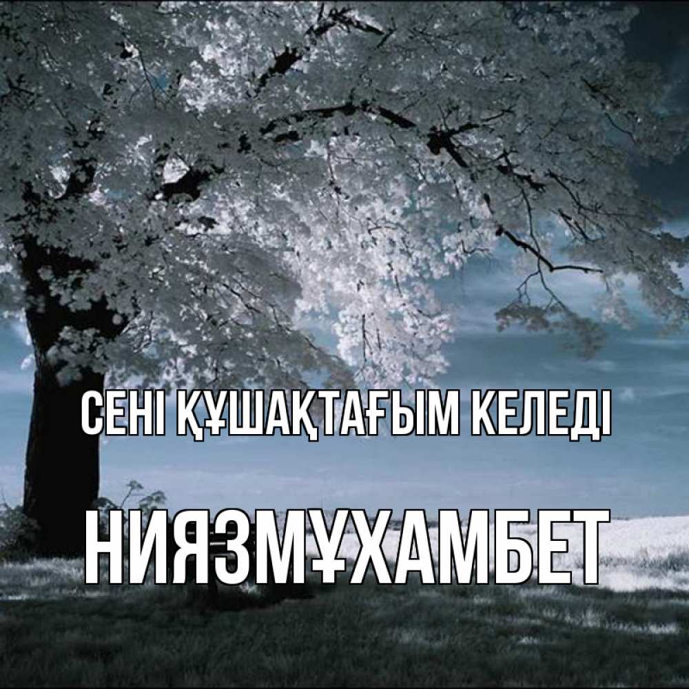 Күн сайын ашық хат с именем, НИЯЗМҰХАМБЕТ сені құшақтағым келеді дерево Онлайн тегін жүктеп алу тілектері бар керемет карта 