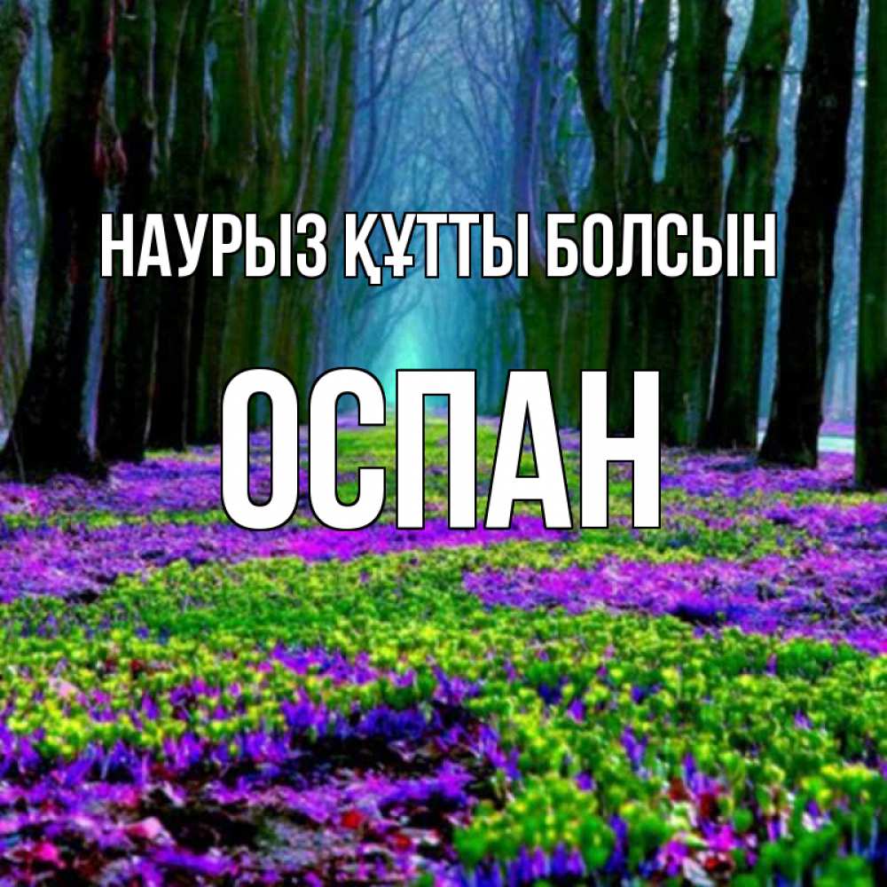Күн сайын ашық хат с именем, ОСПАН Наурыз құтты болсын фиолетовые цветы в лесу 1 Онлайн тегін жүктеп алу тілектері бар керемет карта 