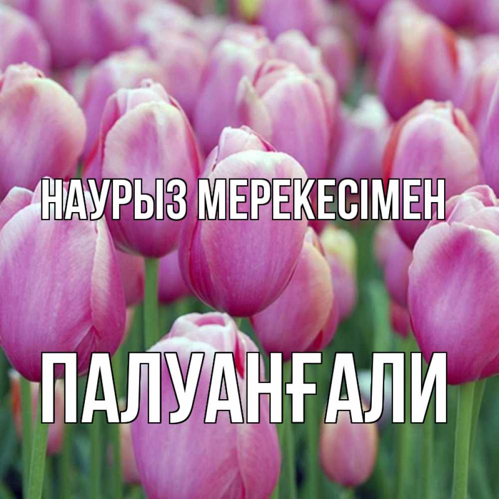 Күн сайын ашық хат с именем, ПАЛУАНҒАЛИ Наурыз мерекесімен праздник весны наурыз 69 Онлайн тегін жүктеп алу тілектері бар керемет карта 