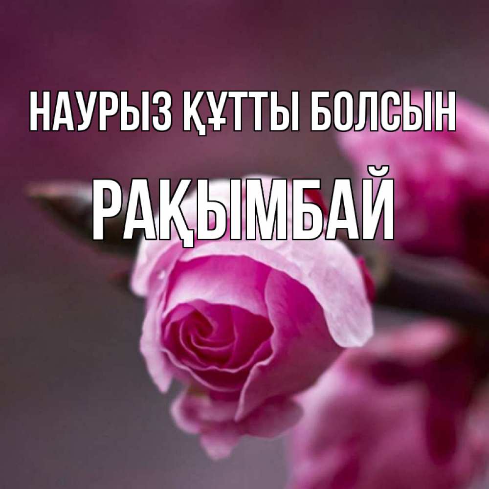 Күн сайын ашық хат с именем, Рақымбай Наурыз құтты болсын весна Онлайн тегін жүктеп алу тілектері бар керемет карта 