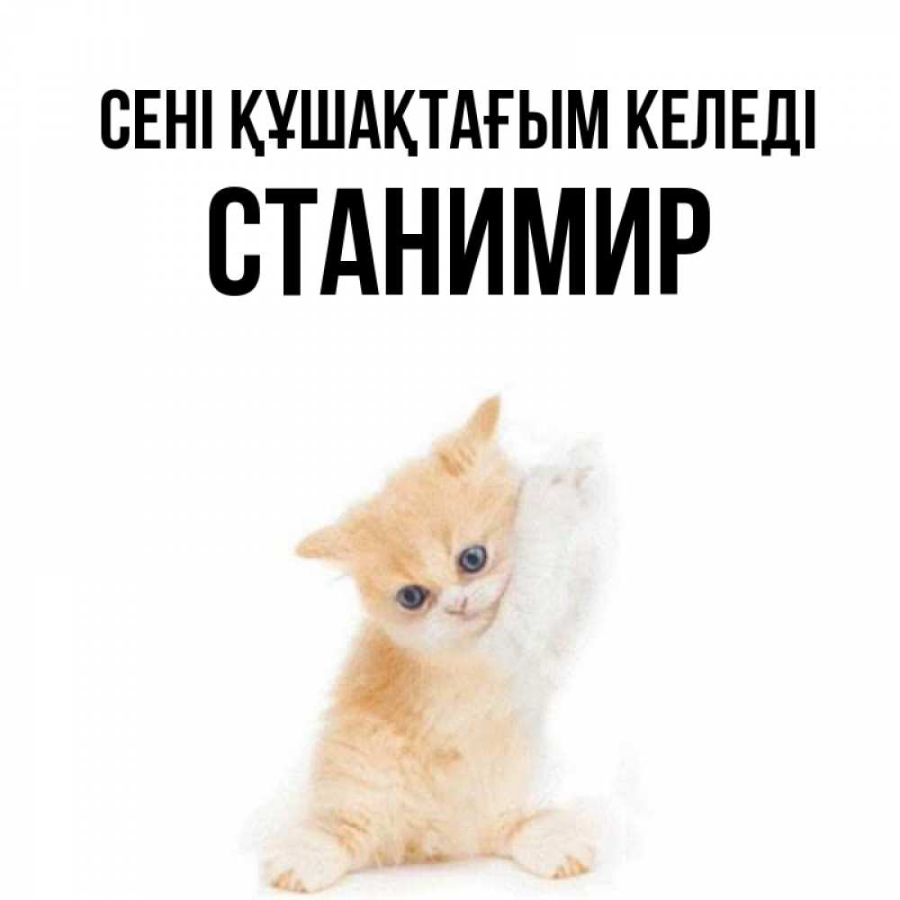 Күн сайын ашық хат с именем, Станимир сені құшақтағым келеді я хочу очень скорее обнимаешек Онлайн тегін жүктеп алу тілектері бар керемет карта 