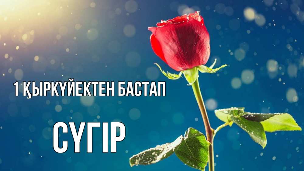 Күн сайын ашық хат с именем, СҮГІР 1 қыркүйектен бастап с днем знаний Онлайн тегін жүктеп алу тілектері бар керемет карта 