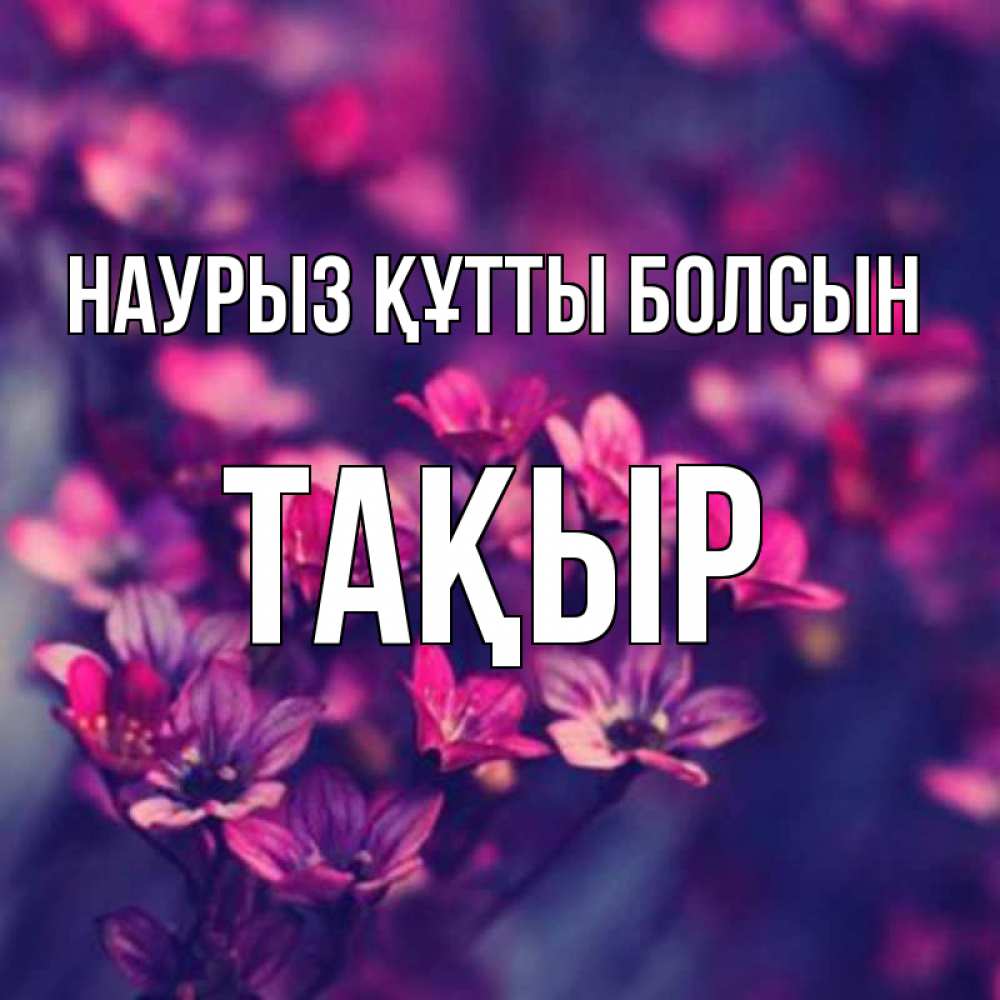 Күн сайын ашық хат с именем, ТАҚЫР Наурыз құтты болсын небольшие цветы 1 Онлайн тегін жүктеп алу тілектері бар керемет карта 