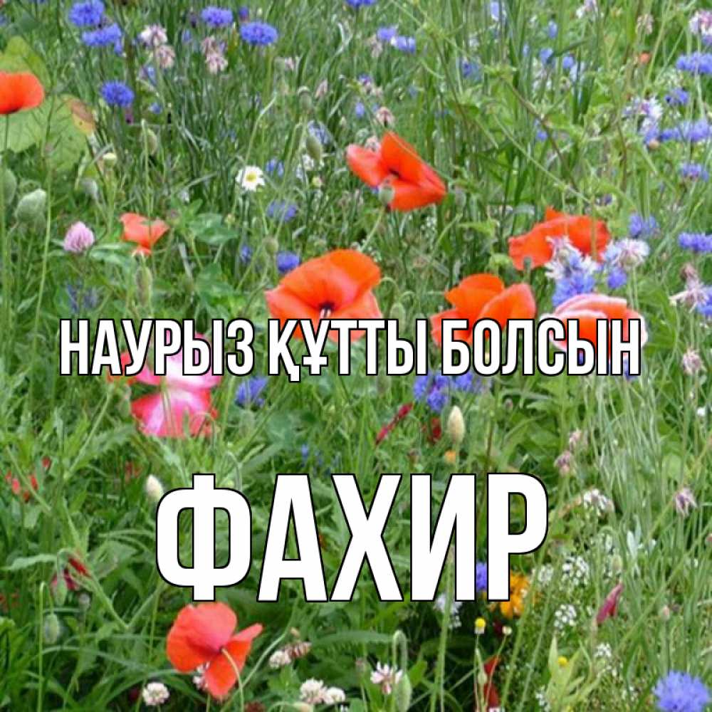 Күн сайын ашық хат с именем, ФАХИР Наурыз құтты болсын наурыз  4 Онлайн тегін жүктеп алу тілектері бар керемет карта 