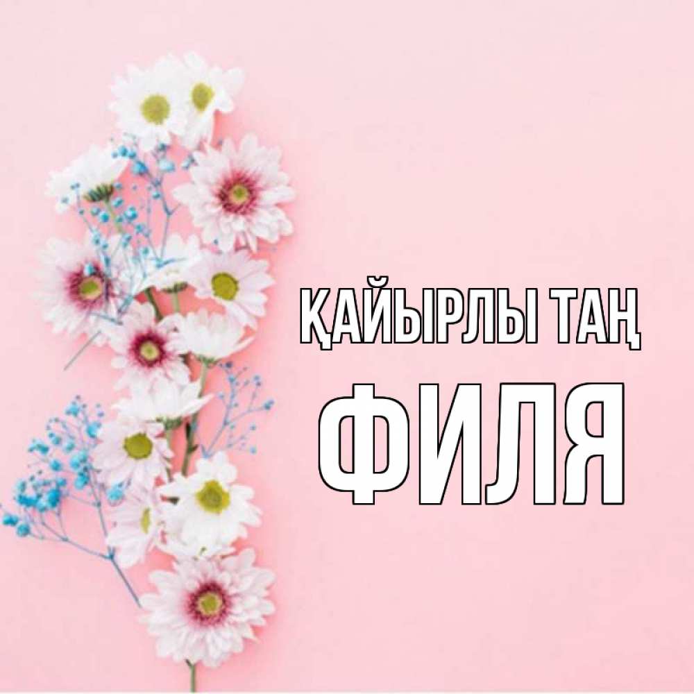 Күн сайын ашық хат с именем, Филя Қайырлы таң цветы с подписью Онлайн тегін жүктеп алу тілектері бар керемет карта 