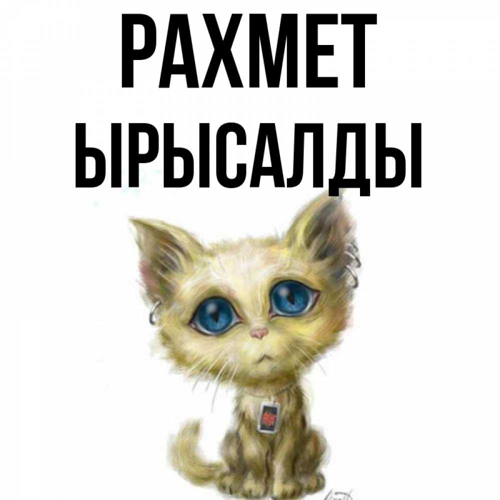 Күн сайын ашық хат с именем, ЫРЫСАЛДЫ рахмет рисованный кот благодарит вас Онлайн тегін жүктеп алу тілектері бар керемет карта 