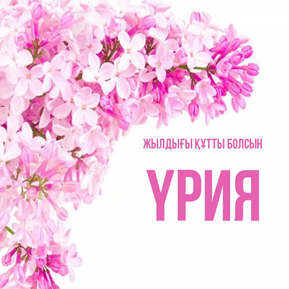 Күн сайын ашық хат с именем, ҮРИЯ Жылдығы құтты болсын Сирень на белом фоне Онлайн тегін жүктеп алу тілектері бар керемет карта 