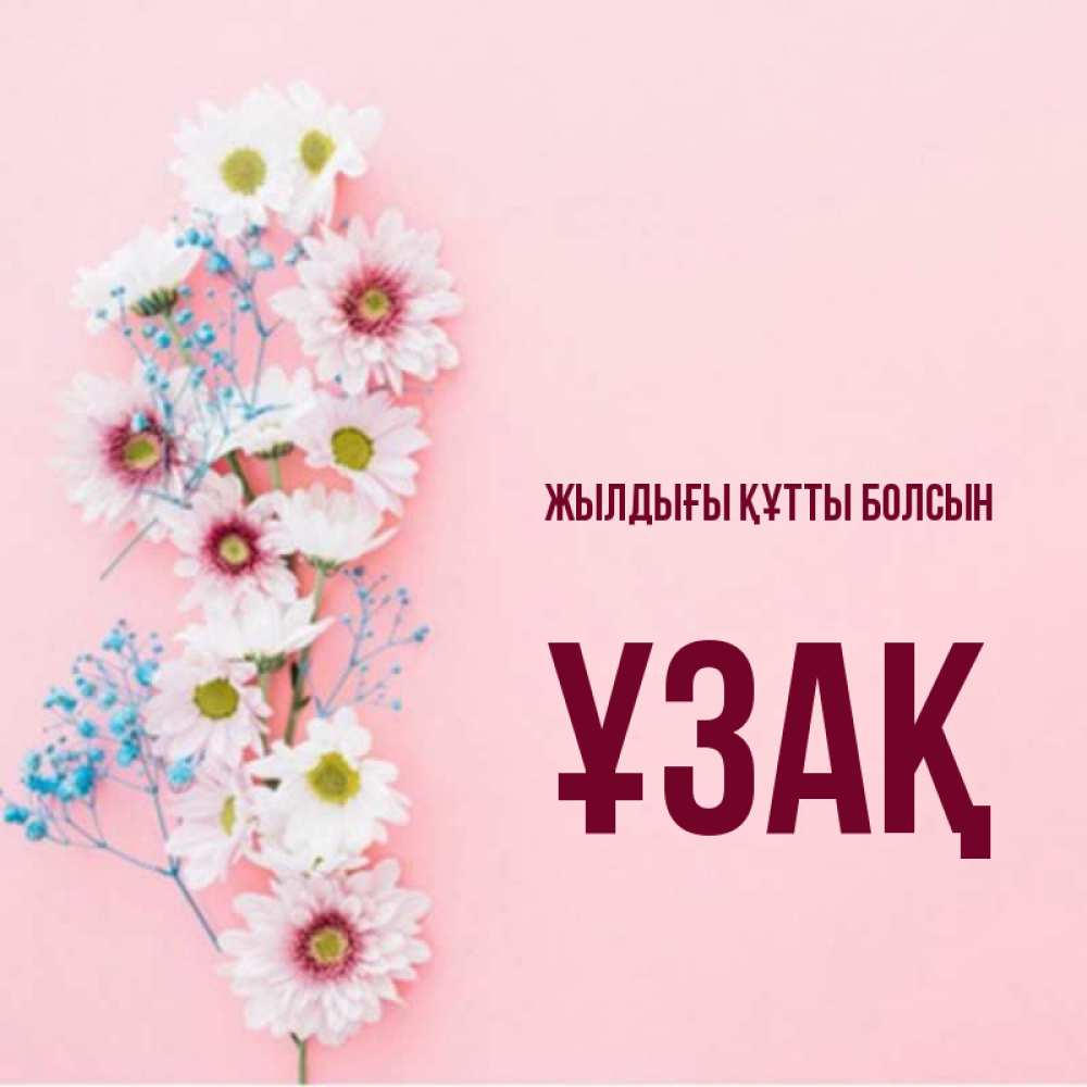 Күн сайын ашық хат с именем, ҰЗАҚ Жылдығы құтты болсын Родная моя с днем рождения тебя картинка с цветами белыми и голубыми Онлайн тегін жүктеп алу тілектері бар керемет карта 