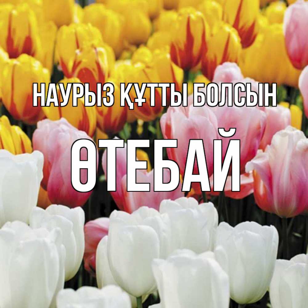 Күн сайын ашық хат с именем, ӨТЕБАЙ Наурыз құтты болсын разноцветные цветы Онлайн тегін жүктеп алу тілектері бар керемет карта 
