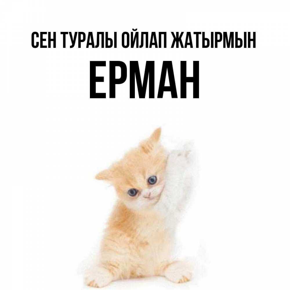 Күн сайын ашық хат с именем, Ерман Сен туралы ойлап жатырмын зверушки и милота Онлайн тегін жүктеп алу тілектері бар керемет карта 