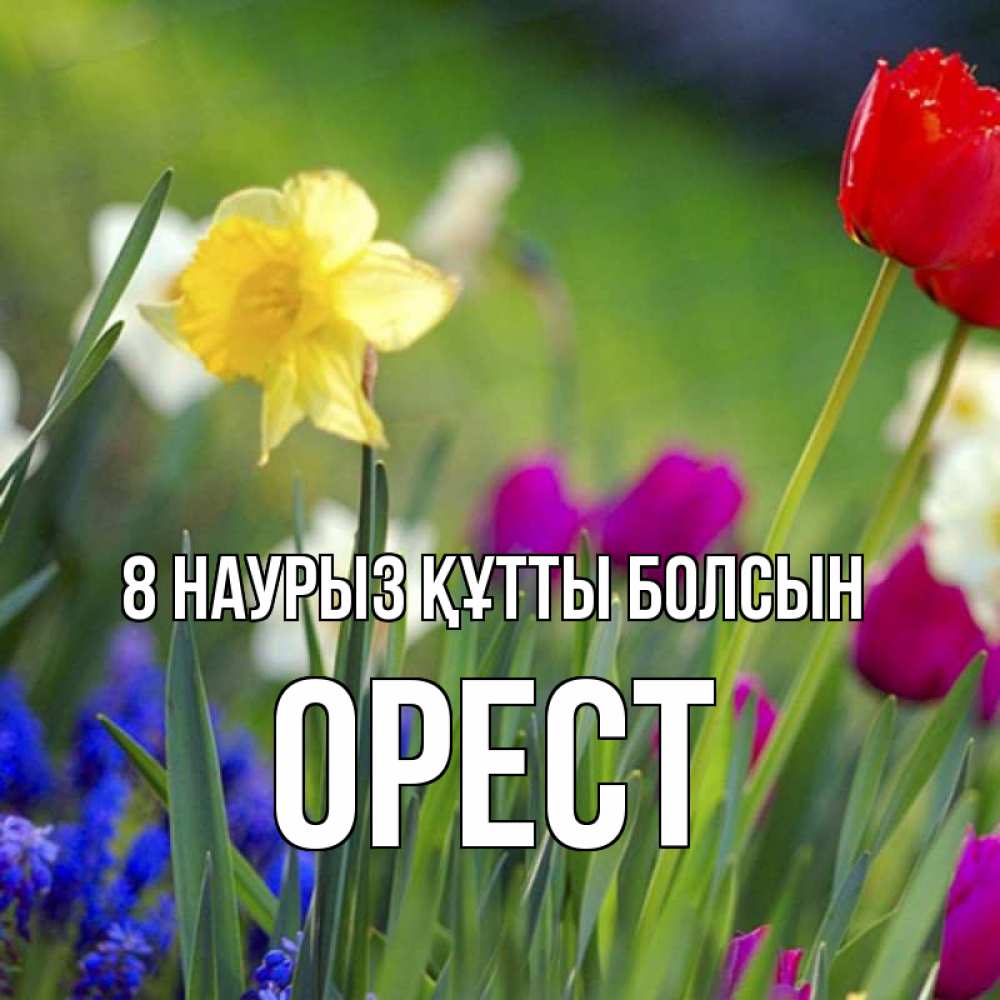 Күн сайын ашық хат с именем, Орест 8 наурыз құтты болсын международный женский день 3 Онлайн тегін жүктеп алу тілектері бар керемет карта 