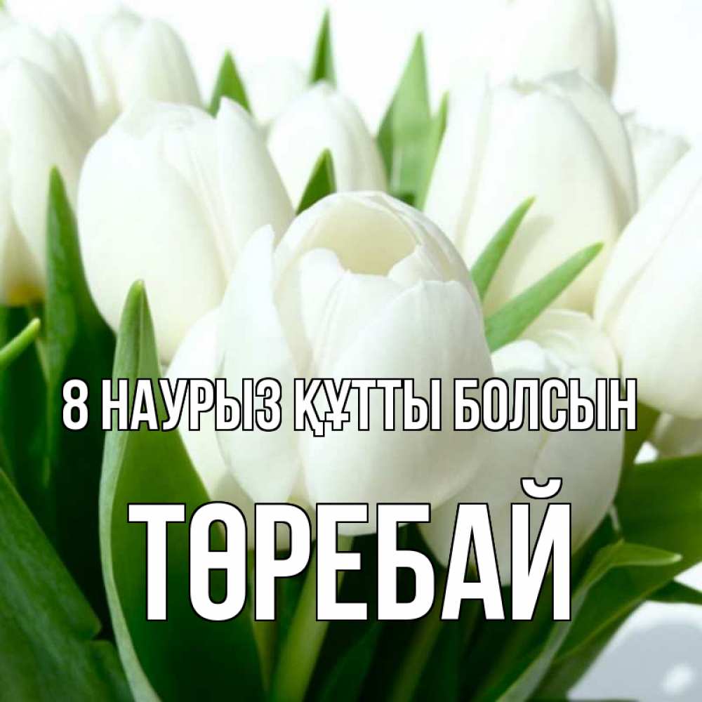 Күн сайын ашық хат с именем, Төребай 8 наурыз құтты болсын цветы Онлайн тегін жүктеп алу тілектері бар керемет карта 