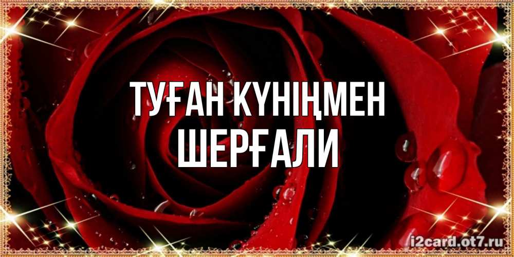 Күн сайын ашық хат с именем, ШЕРҒАЛИ Туған күніңмен цветок в росе на день рождения Онлайн тегін жүктеп алу тілектері бар керемет карта 