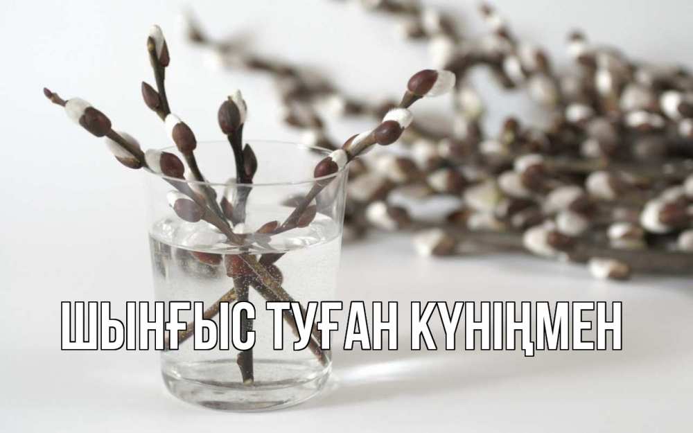 Картинка  с именем , ШЫНҒЫС! ТУҒАН КҮНІҢМЕН!