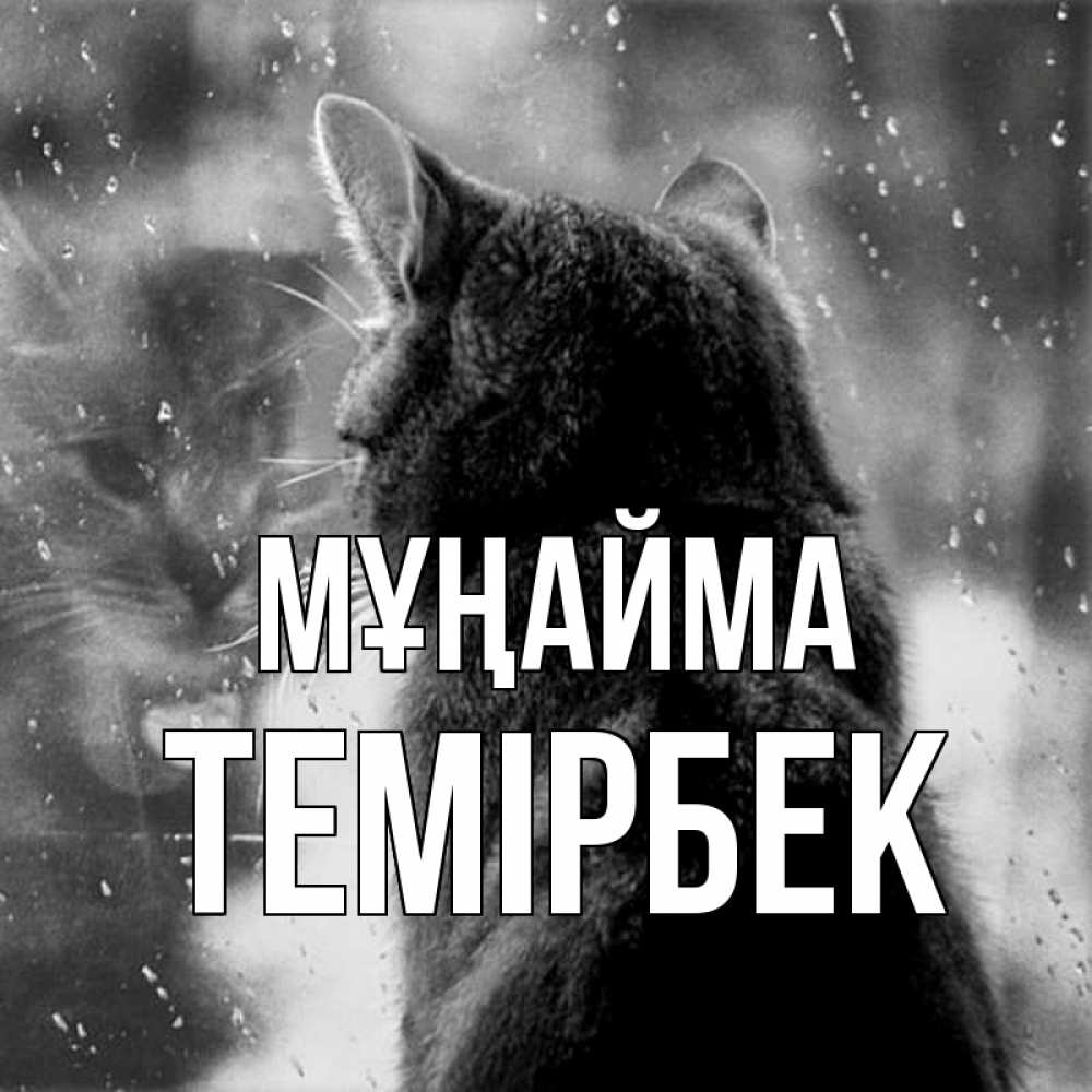 Күн сайын ашық хат с именем, ТЕМІРБЕК Мұңайма отражение кота 1 Онлайн тегін жүктеп алу тілектері бар керемет карта 