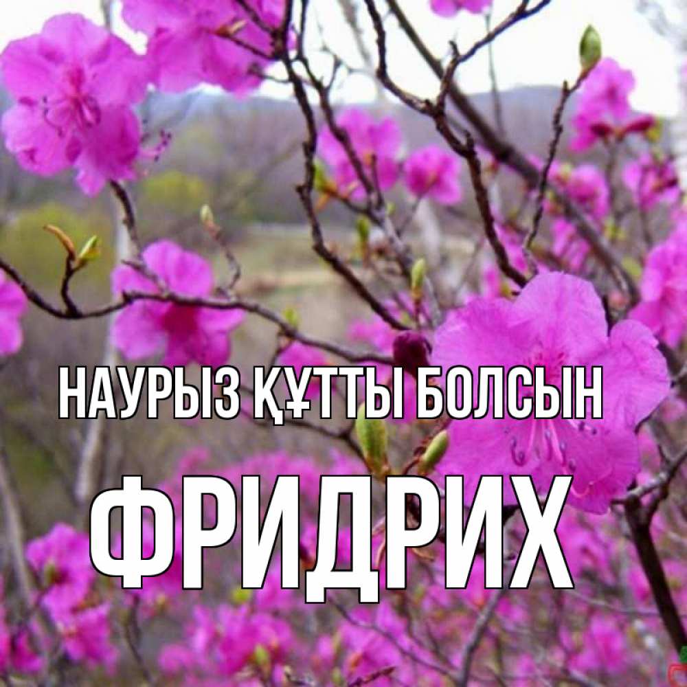 Күн сайын ашық хат с именем, Фридрих Наурыз құтты болсын наурыз мейрамы кутты болсын Онлайн тегін жүктеп алу тілектері бар керемет карта 