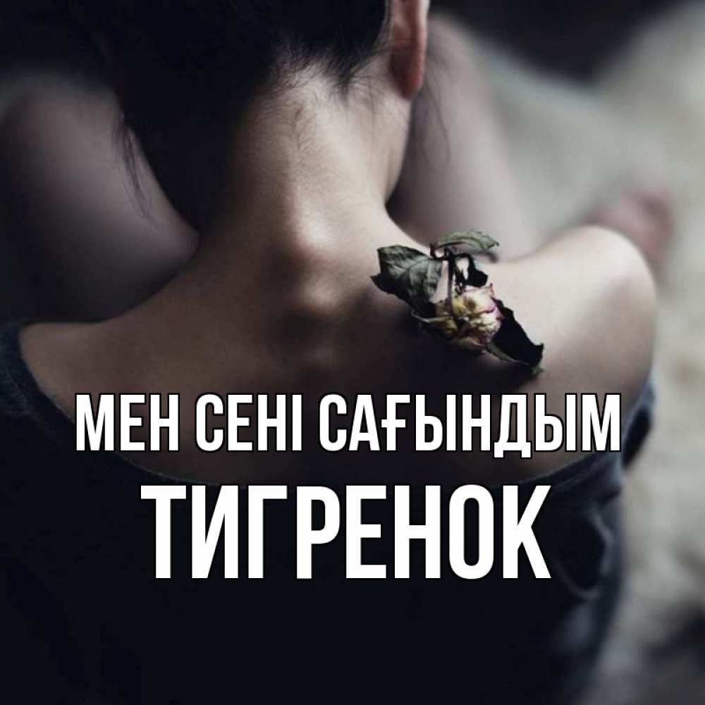Күн сайын ашық хат с именем, Тигренок Мен сені сағындым засох цветок Онлайн тегін жүктеп алу тілектері бар керемет карта 