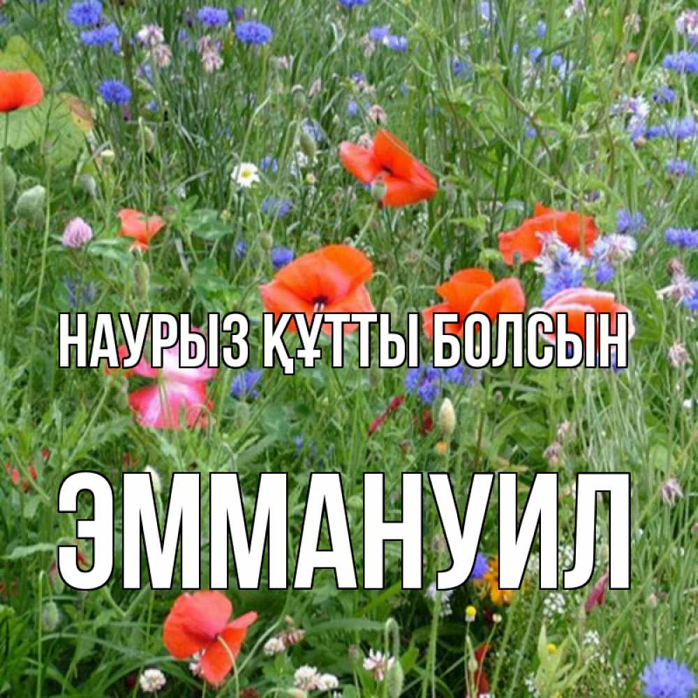 Күн сайын ашық хат с именем, Эммануил Наурыз құтты болсын наурыз  4 Онлайн тегін жүктеп алу тілектері бар керемет карта 