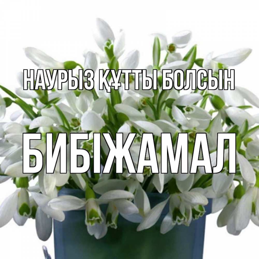 Күн сайын ашық хат с именем, БИБІЖАМАЛ Наурыз құтты болсын цветы к наурызу Онлайн тегін жүктеп алу тілектері бар керемет карта 