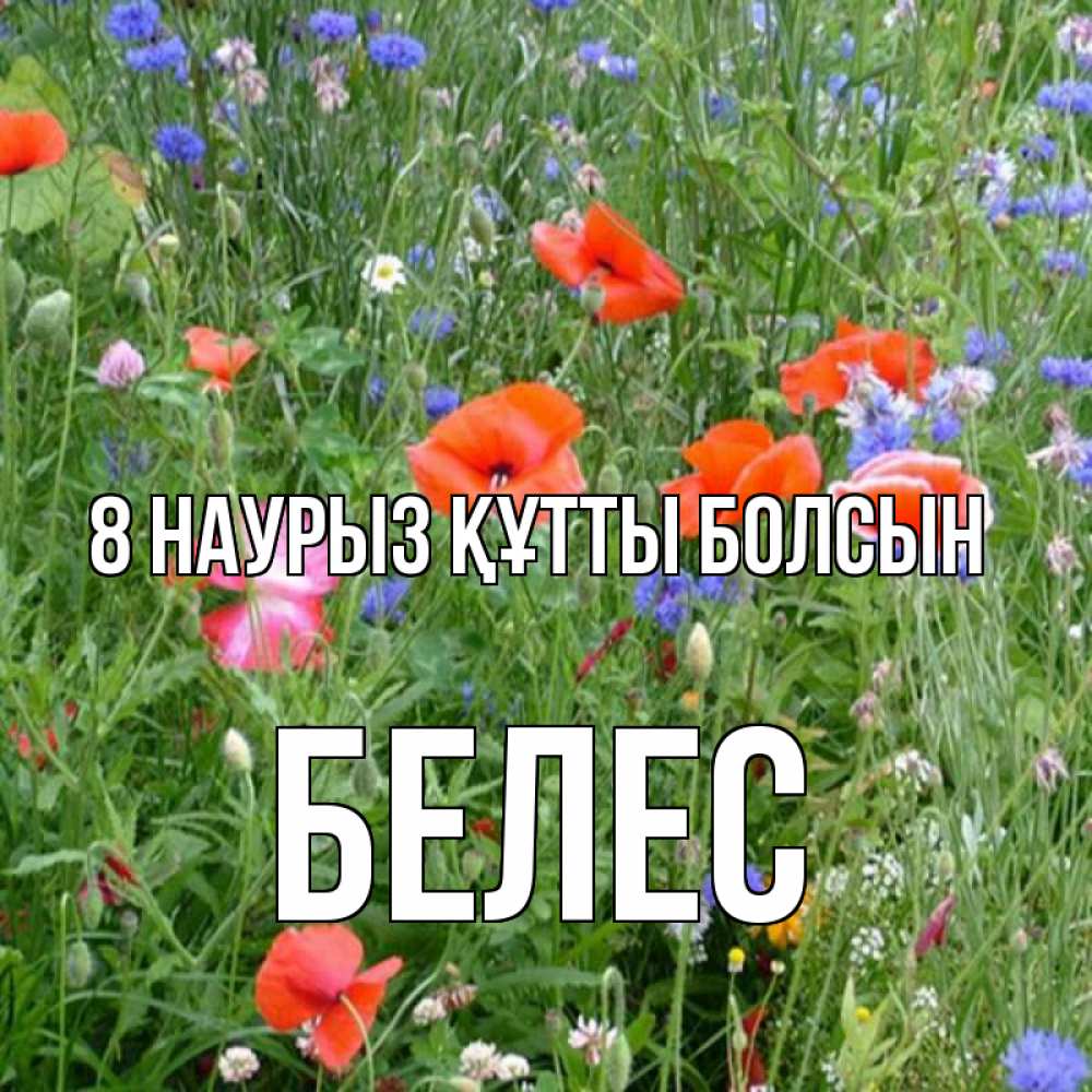Күн сайын ашық хат с именем, Белес 8 наурыз құтты болсын международный женский день 4 Онлайн тегін жүктеп алу тілектері бар керемет карта 