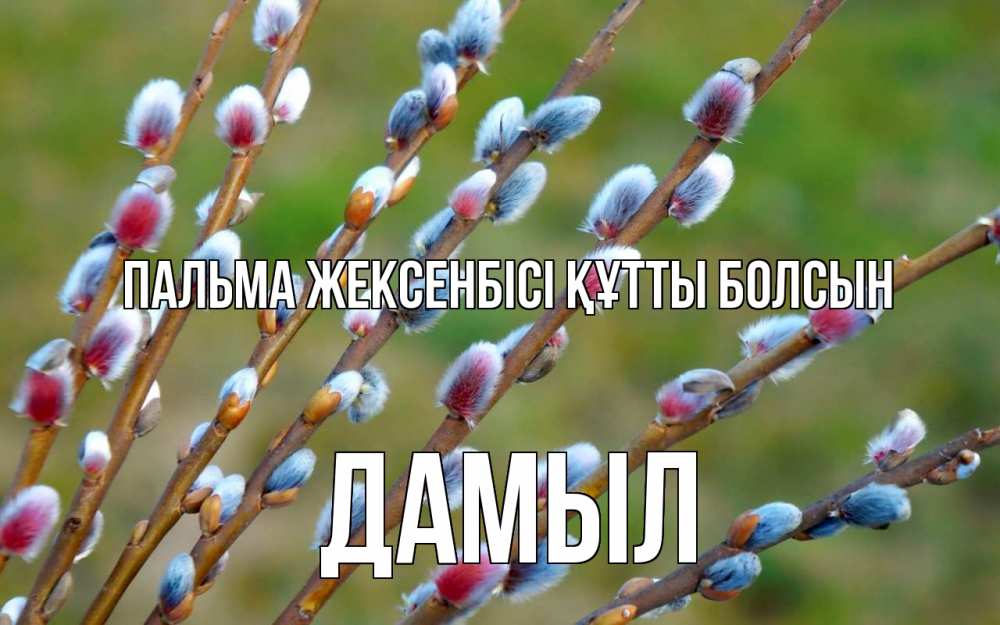 Күн сайын ашық хат с именем, Дамыл Пальма жексенбісі құтты болсын верба Онлайн тегін жүктеп алу тілектері бар керемет карта 