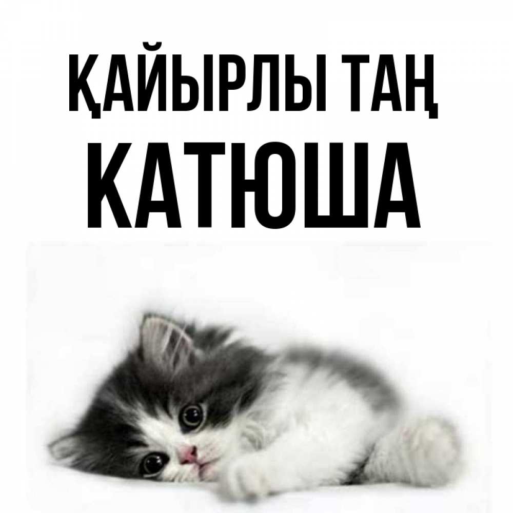 Күн сайын ашық хат с именем, Катюша Қайырлы таң кот лапки Онлайн тегін жүктеп алу тілектері бар керемет карта 
