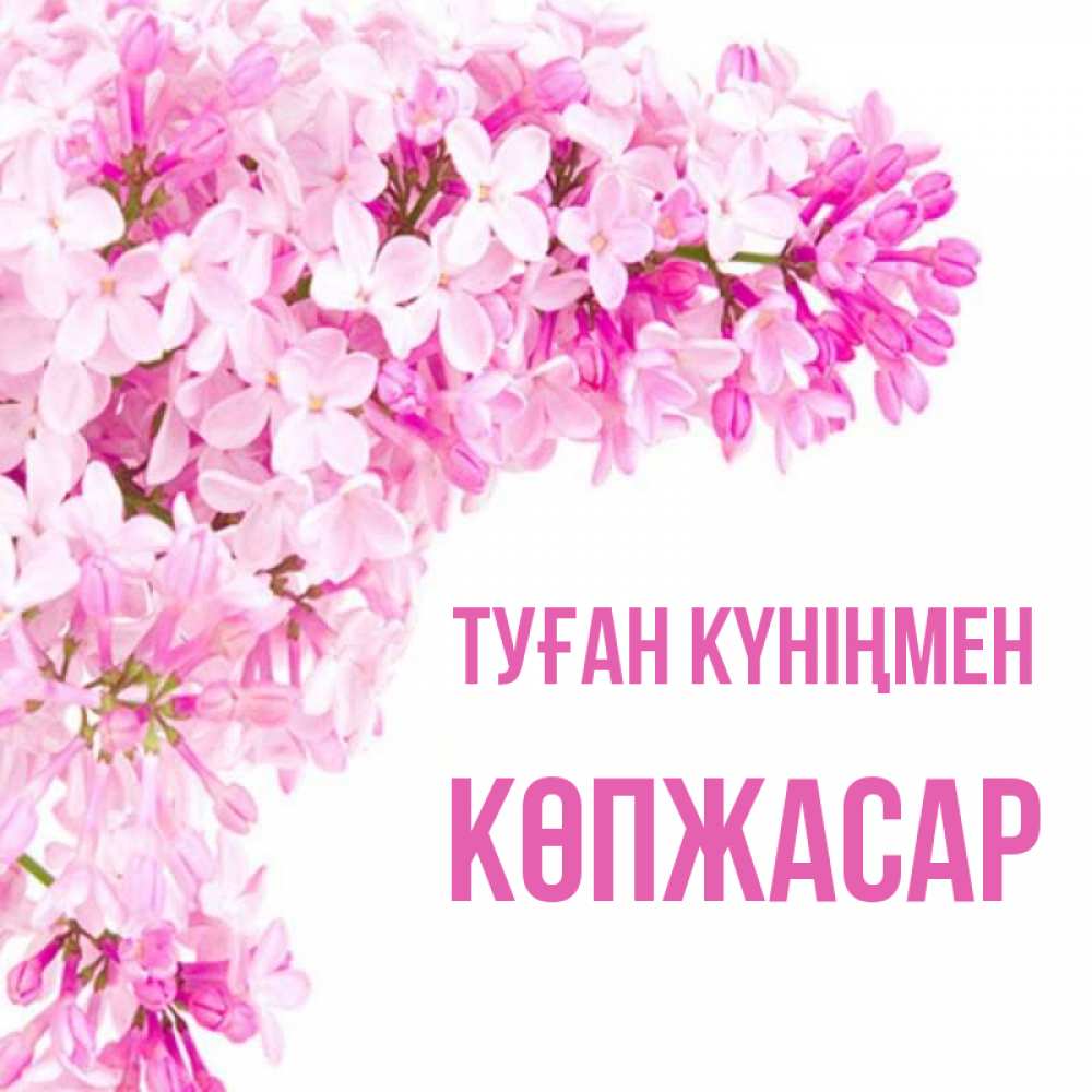 Күн сайын ашық хат с именем, Көпжасар Туған күніңмен Сирень на белом фоне Онлайн тегін жүктеп алу тілектері бар керемет карта 