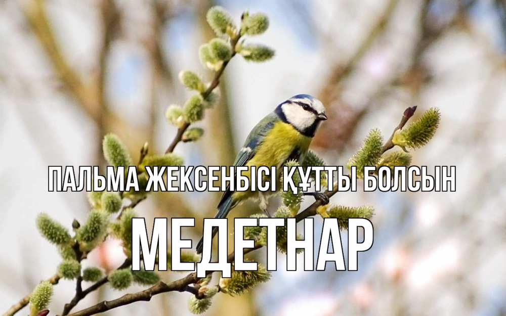 Күн сайын ашық хат с именем, МЕДЕТНАР Пальма жексенбісі құтты болсын верба Онлайн тегін жүктеп алу тілектері бар керемет карта 