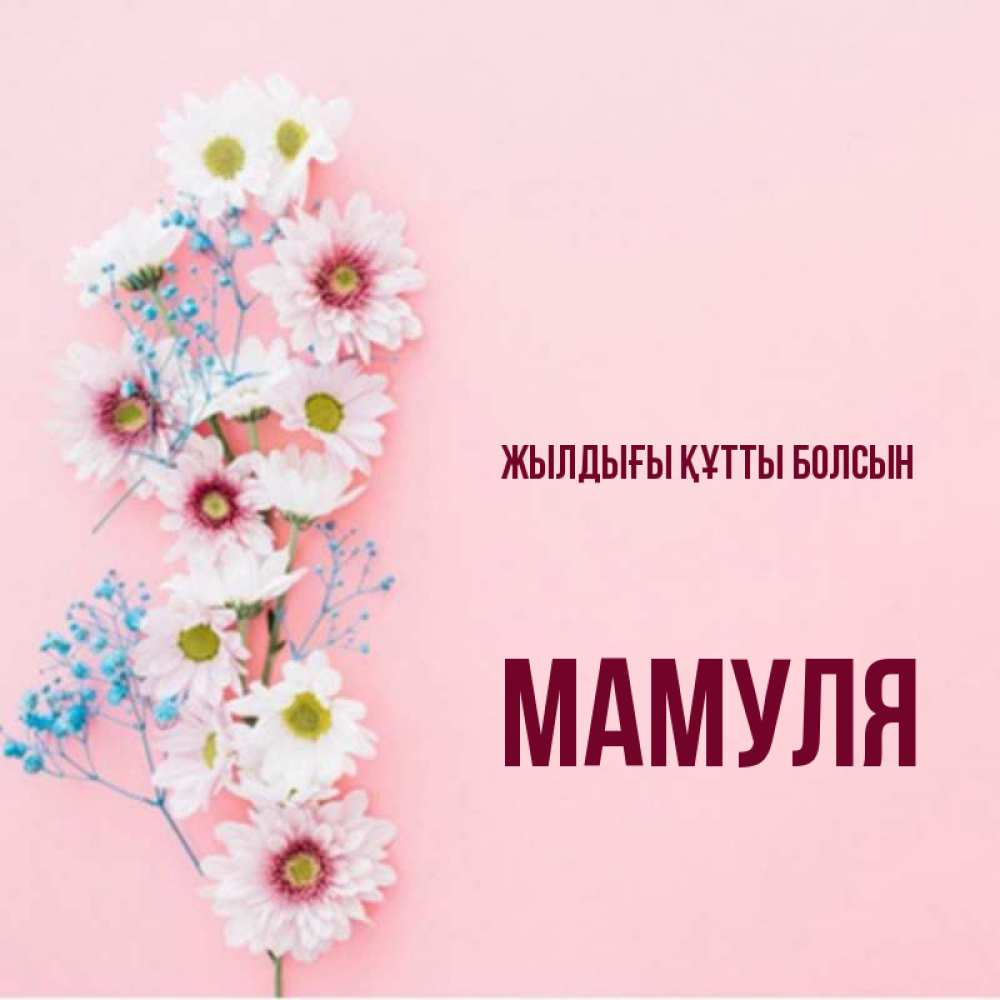 Күн сайын ашық хат с именем, Мамуля Жылдығы құтты болсын Родная моя с днем рождения тебя картинка с цветами белыми и голубыми Онлайн тегін жүктеп алу тілектері бар керемет карта 