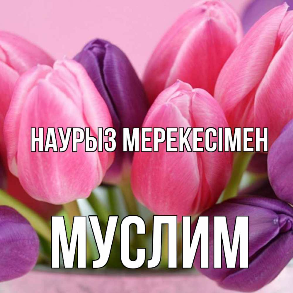 Күн сайын ашық хат с именем, Муслим Наурыз мерекесімен маме 1 Онлайн тегін жүктеп алу тілектері бар керемет карта 