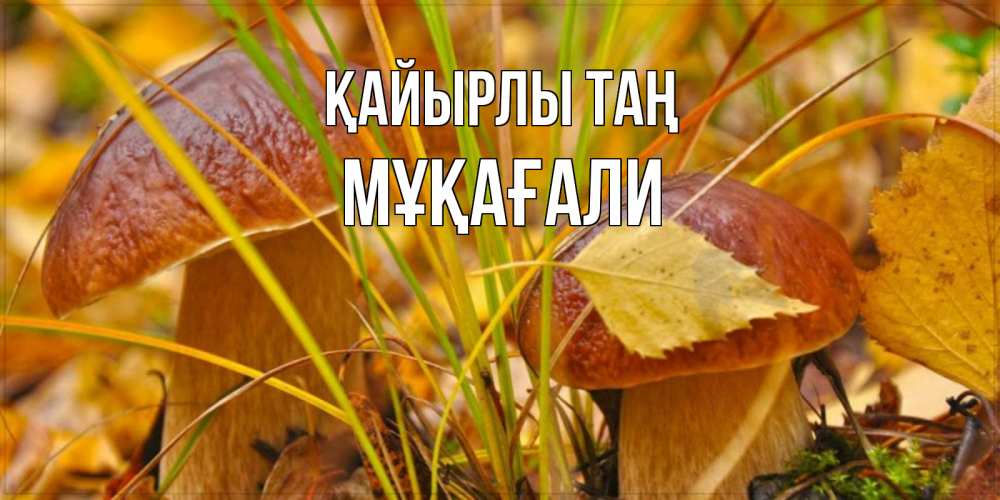 Күн сайын ашық хат с именем, МҰҚАҒАЛИ Қайырлы таң осенние грибы Онлайн тегін жүктеп алу тілектері бар керемет карта 