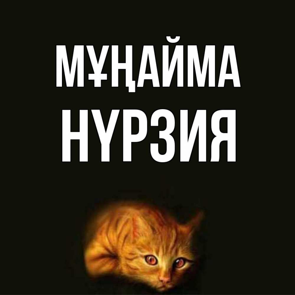 Күн сайын ашық хат с именем, НҮРЗИЯ Мұңайма лежащий кот в темноте Онлайн тегін жүктеп алу тілектері бар керемет карта 