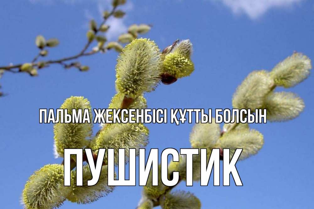 Күн сайын ашық хат с именем, Пушистик Пальма жексенбісі құтты болсын верба Онлайн тегін жүктеп алу тілектері бар керемет карта 