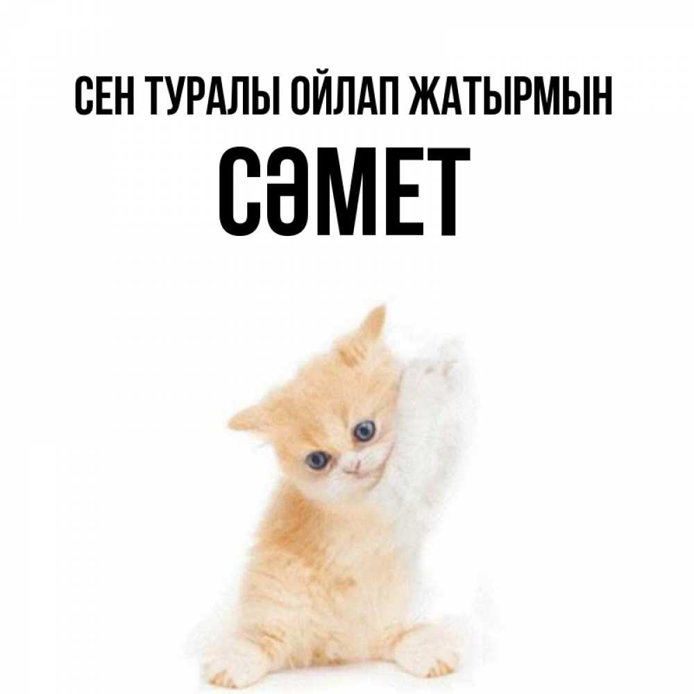 Күн сайын ашық хат с именем, СӘМЕТ Сен туралы ойлап жатырмын зверушки и милота Онлайн тегін жүктеп алу тілектері бар керемет карта 