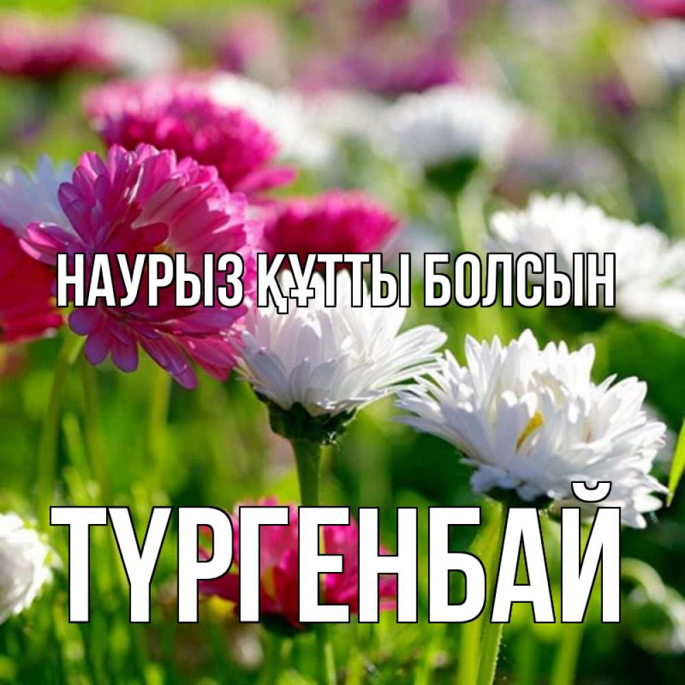 Күн сайын ашық хат с именем, ТҮРГЕНБАЙ Наурыз құтты болсын наурыз Онлайн тегін жүктеп алу тілектері бар керемет карта 